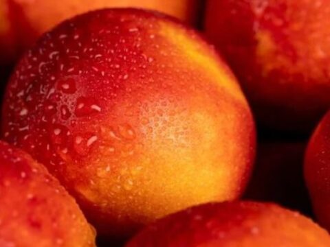 Tezgahta gorup almayan pisman oluyor kalbi celik gibi yapan meyve bulundu H595GrYb